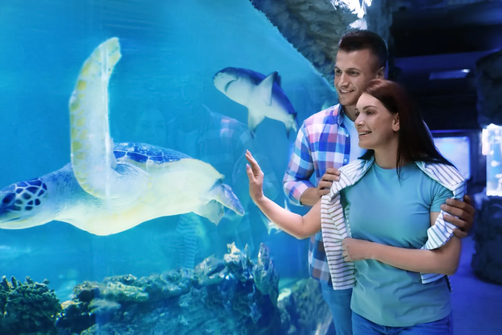 Frost Science Museum aquarium exhibit in Miami