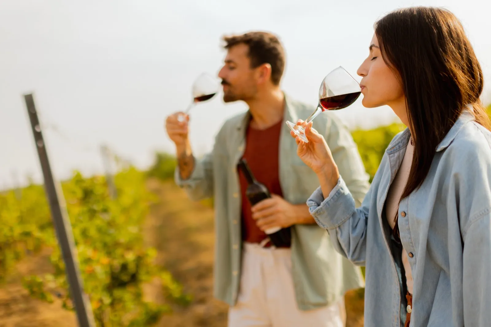 Malibu Wine Hikes vineyard safari tasting couples date