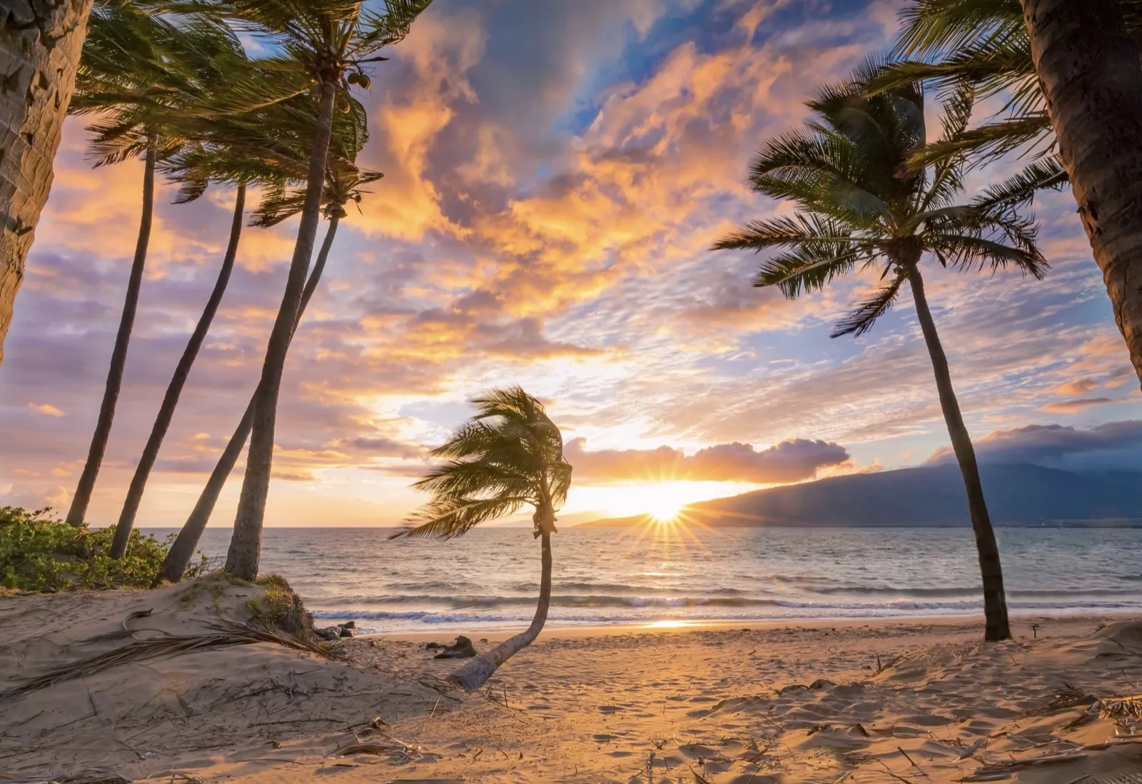 Beautiful Honolulu polynesian culture & aloha spirit attractions and activities - seasonal romantic experiences for couples throughout the year