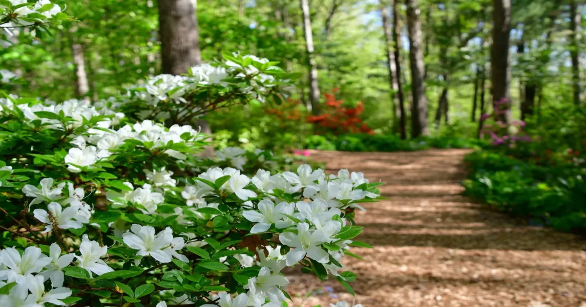 Beautiful Seattle waterfront adventures attractions and activities - seasonal romantic experiences for couples throughout the year