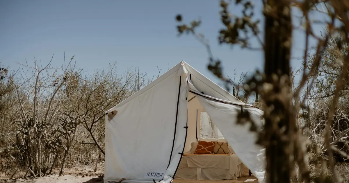 Couple enjoying an outdoor nature date