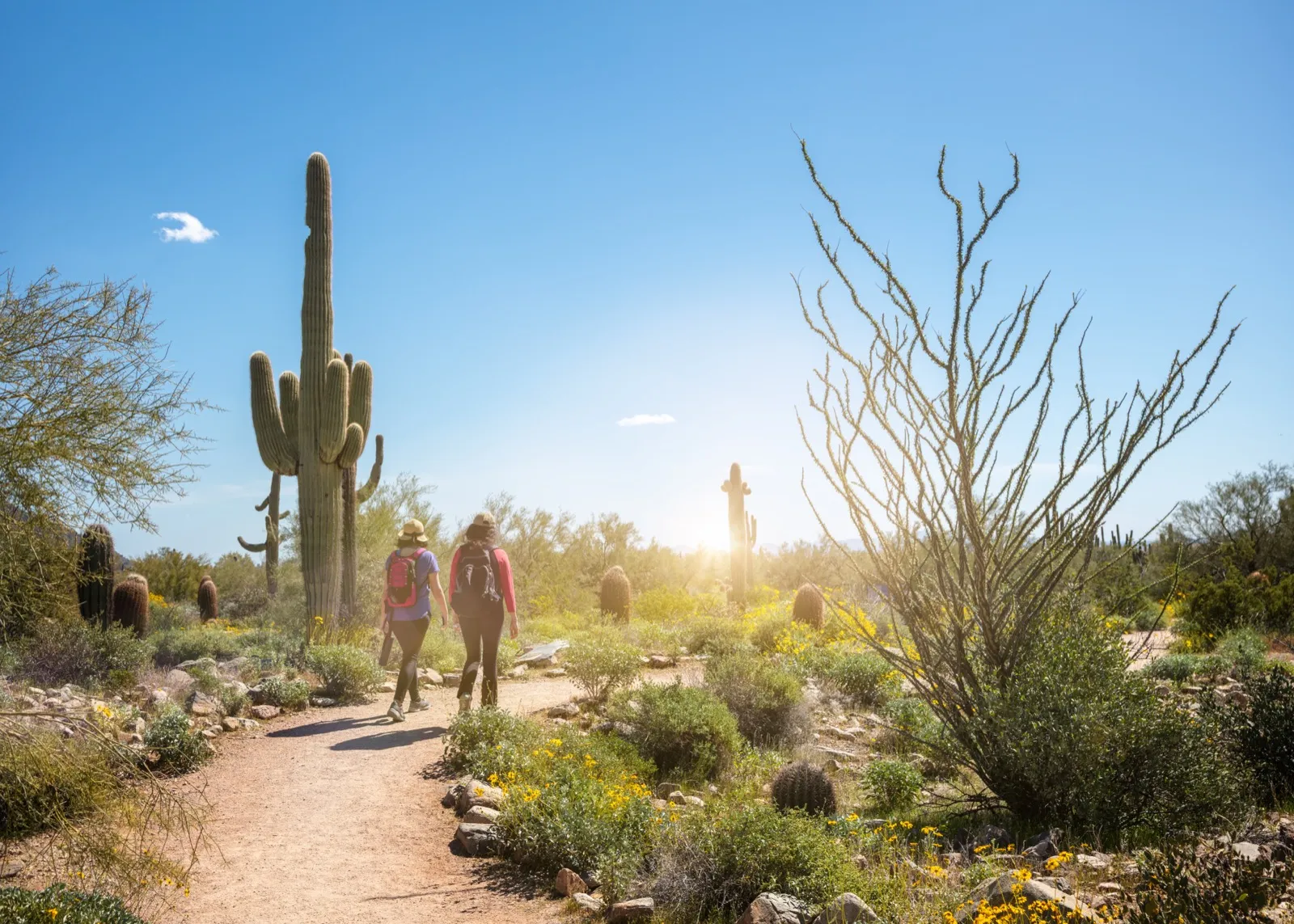 Couple hiking the Camelback Mountain trail in Phoenix at sunrise
