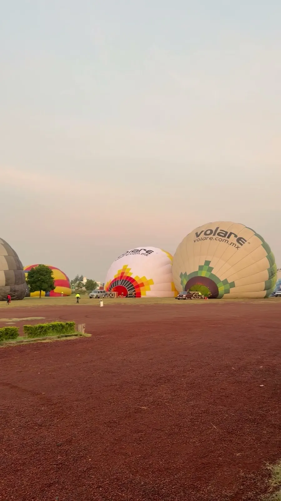 Volare hot air balloons being inflated on the launch field at first light before a sunrise flight