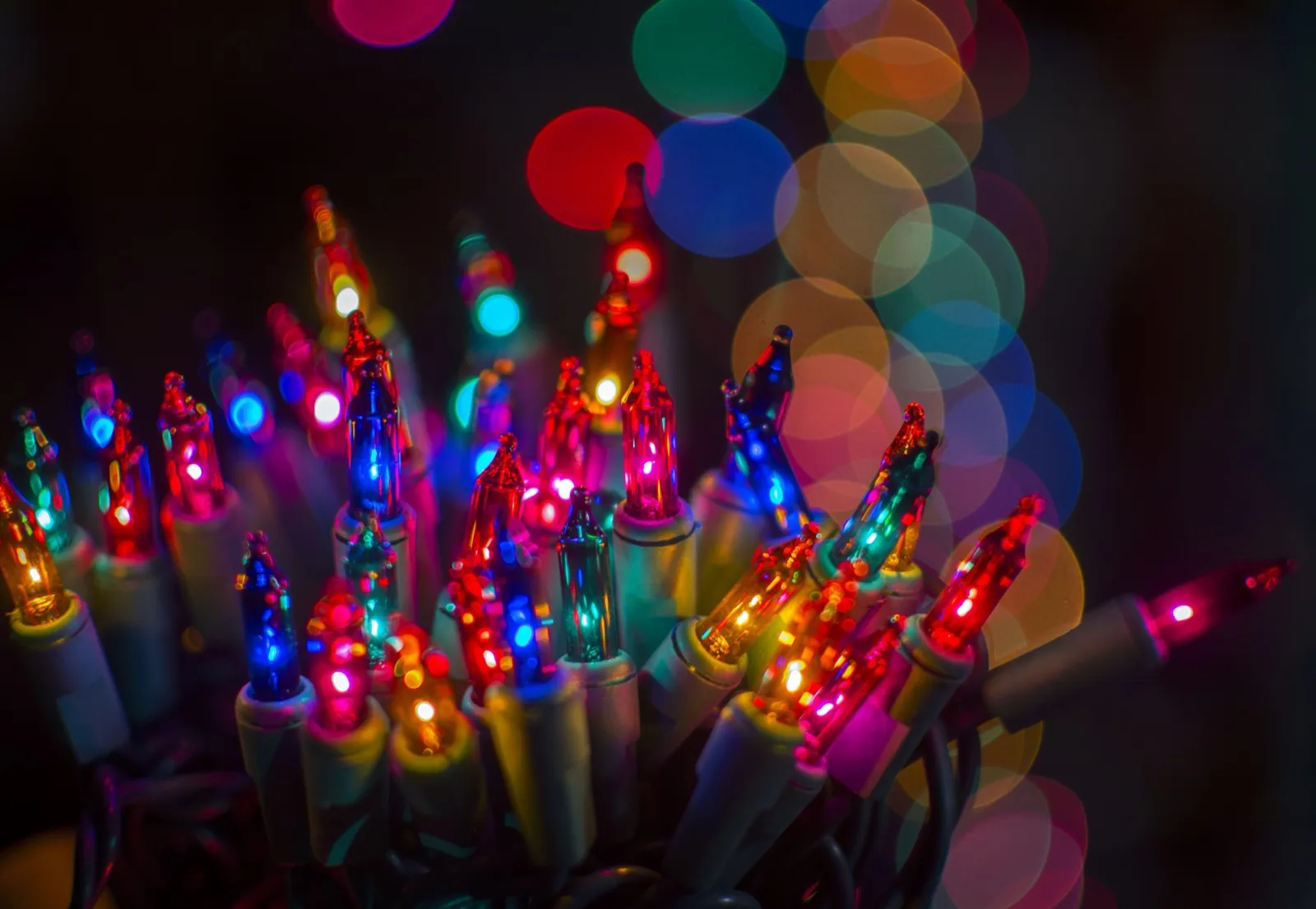 Oregon Zoo ZooLights holiday lights Portland winter date