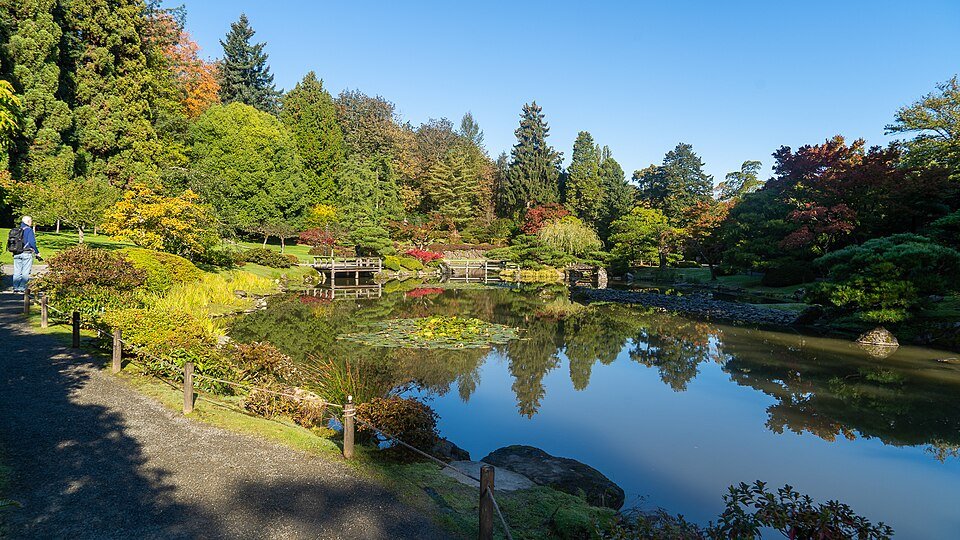 Couple walking through Seattle Japanese Garden serene pond and landscape