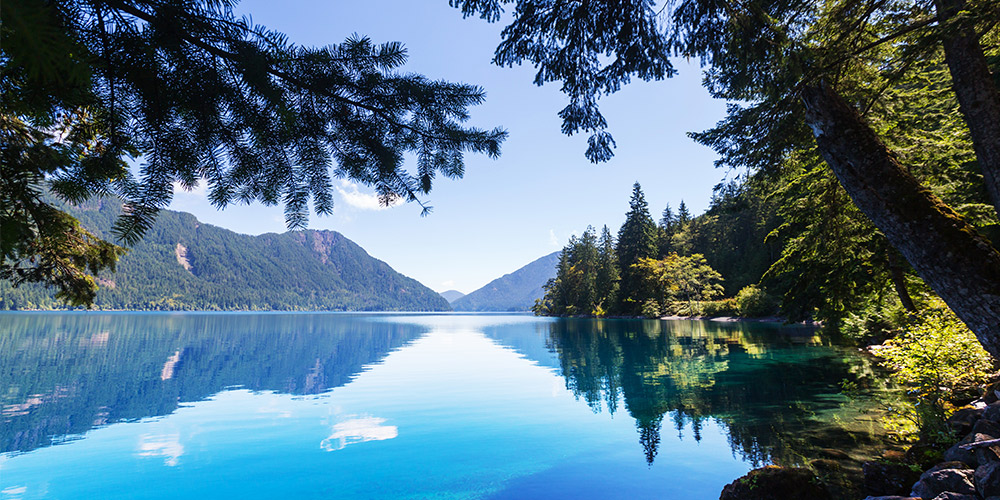 Romantic forest lake surrounded by old-growth trees and mountains